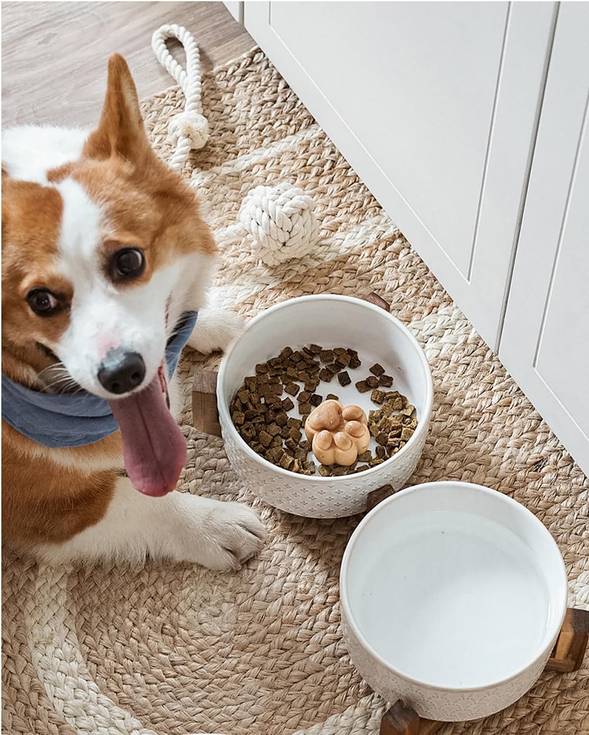 LE TAUCI Dog Bowl Set with Acacia Wood Stand - 1.5-Cup Ceramic Puppy Bowls for Small Dogs  Dual Food and Water Bowls with Weighted Non-Slip Base